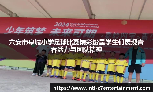 c7娱乐公司
