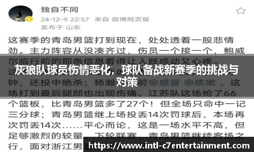 灰狼队球员伤情恶化，球队备战新赛季的挑战与对策