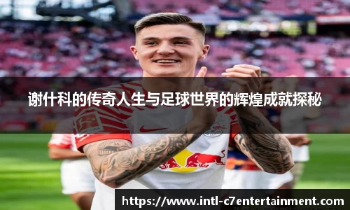 c7娱乐公司