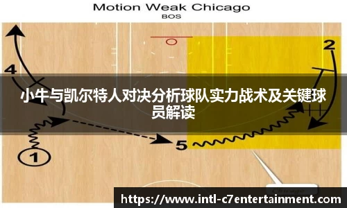 c7娱乐公司