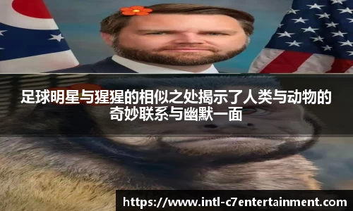 足球明星与猩猩的相似之处揭示了人类与动物的奇妙联系与幽默一面